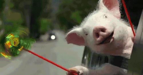 微信理财通有被坑过了吗,微信里面的理财通靠谱吗