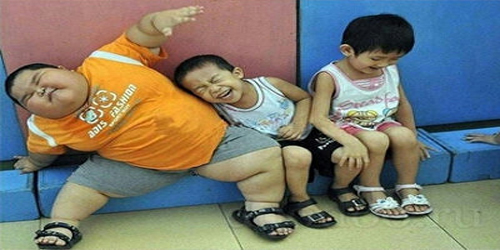 肥胖的中医认识,辩证,治疗