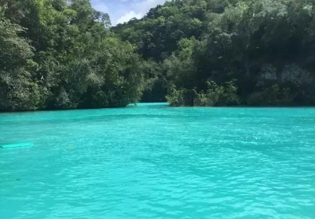 帕劳归来不看海视频,帕劳归来不看海