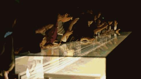 书家心路历程,书家一贯的通病