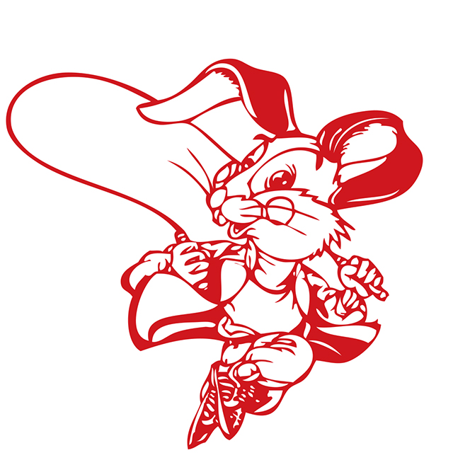 农历1987年属兔11月12日运势详解,1987年属兔的2022年的运势怎么样