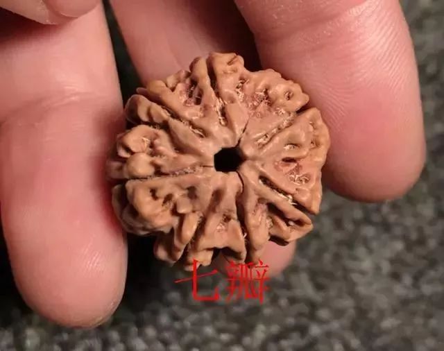 怎样区分打药的金刚菩提,金刚菩提怎么鉴别值钱