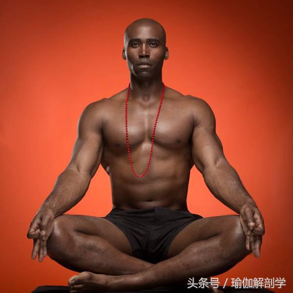 运动员为什么要练瑜伽,为什么运动员都去练瑜伽