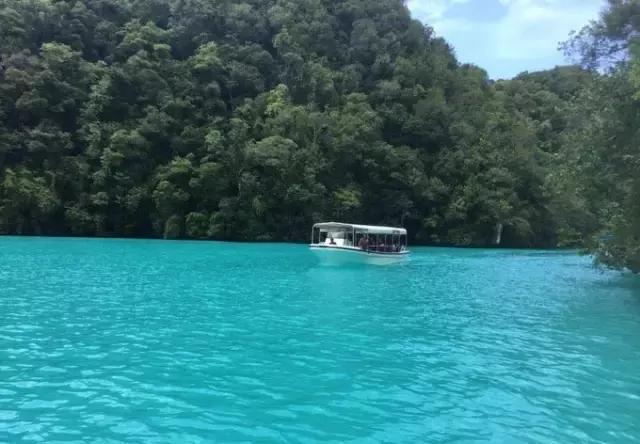 帕劳归来不看海视频,帕劳归来不看海