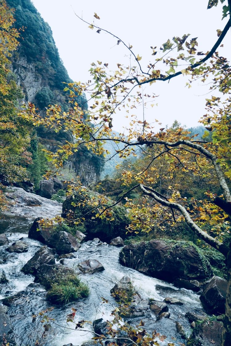 温州三八节免费景点,三八节好玩的地方温州