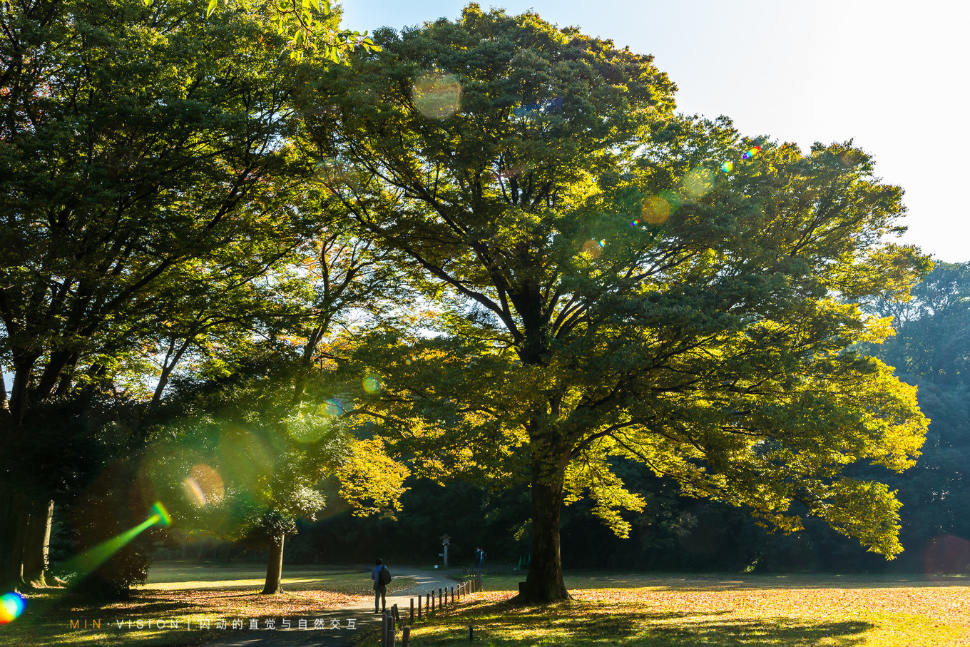 去东京玩用什么攻略,东京攻略东京