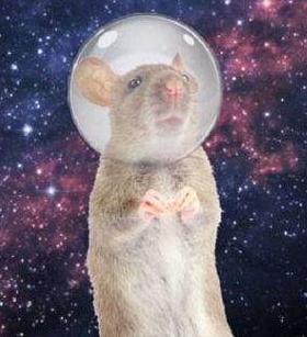 最近进入太空的宇航员有哪些,去太空的宇航员都有哪些