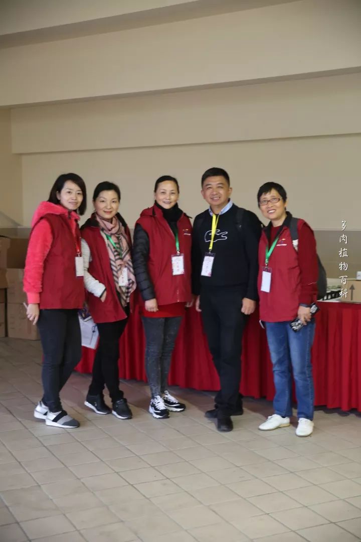 公认最美4种多肉植物图片,2014年上海多肉植物展图片