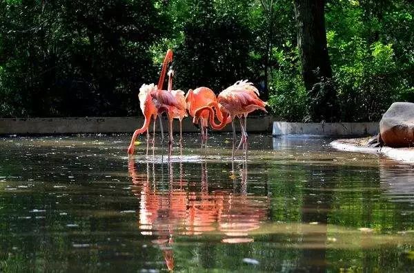上海哪个地铁站去景点方便,上海免费景点及地铁路线