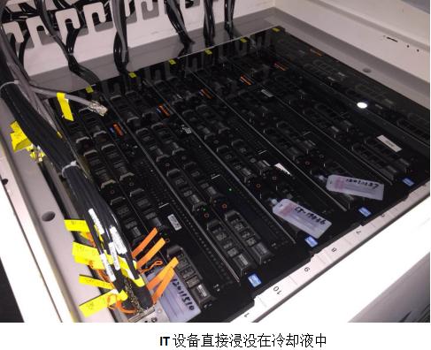 预见未来完整版,豫见未来的视频