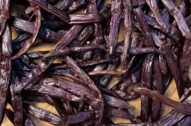 1000多天才能开花的天然香料，为什么在甜品中会被误会成脏东西？