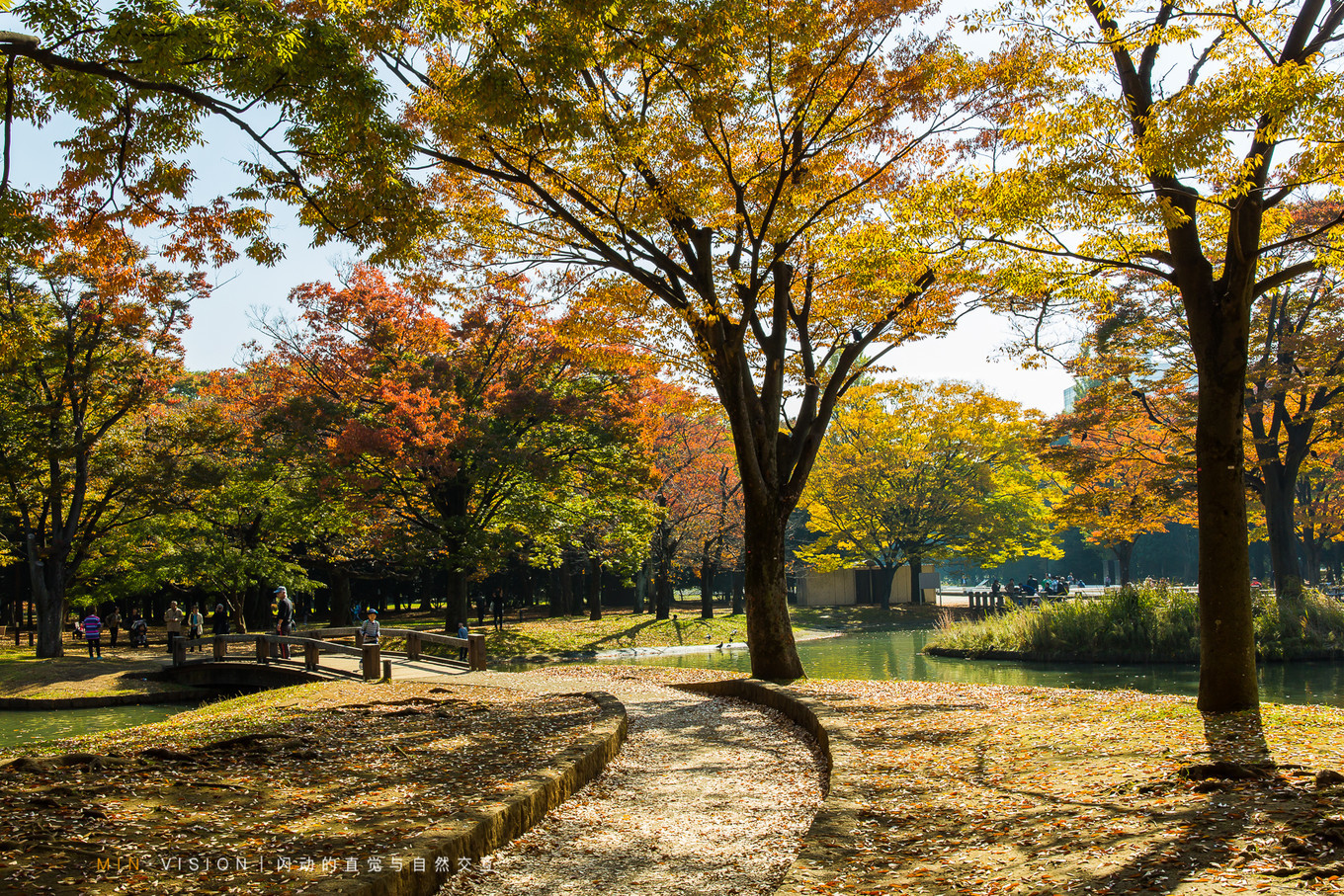 去东京玩用什么攻略,东京攻略东京