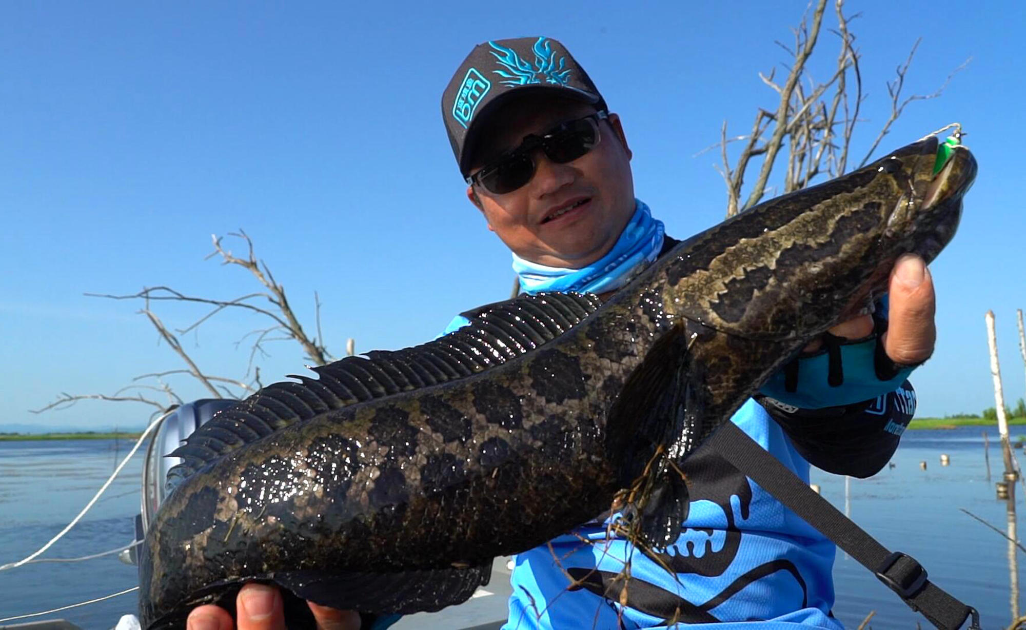 怪兽远征好玩吗,怪兽远征好玩么