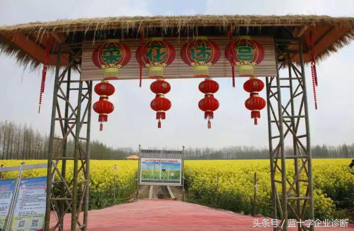 崇明特色小镇,上海市崇明区东平镇