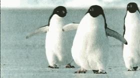 画风治愈的儿童动画,bbc评出史上最伟大100部童书