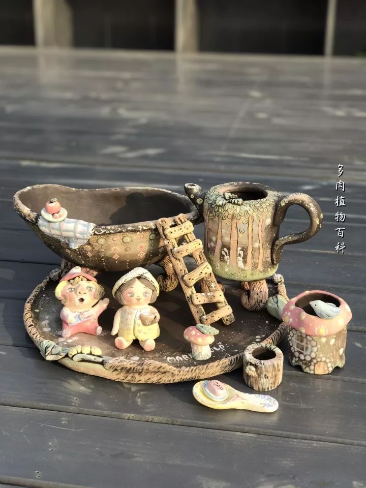 公认最美4种多肉植物图片,2014年上海多肉植物展图片