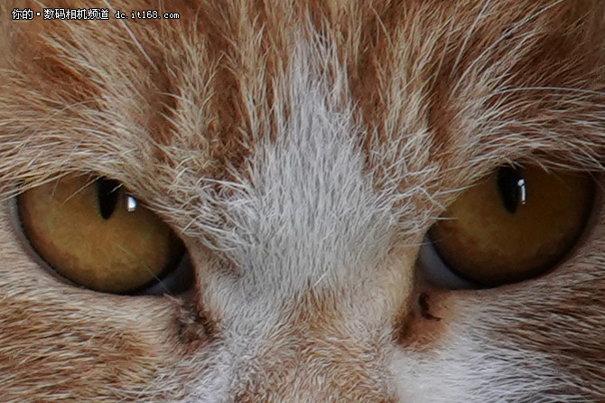 索尼a7r3使用外置闪光灯,索尼全画幅微单a7r3