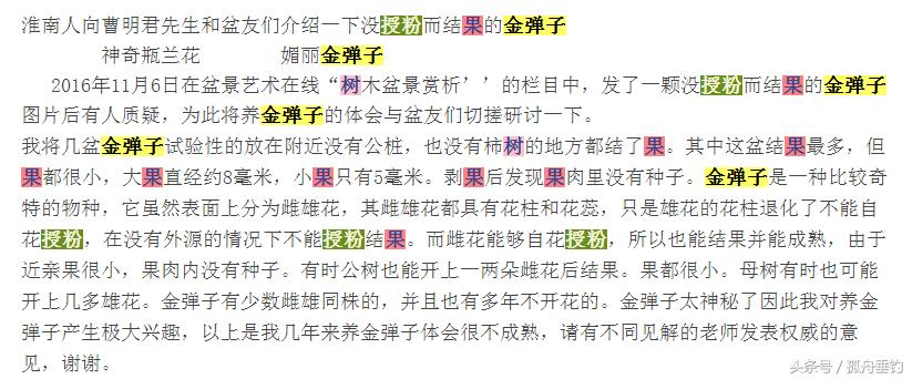 金弹子可以用什么树做母桩,金弹子原生母桩盆景