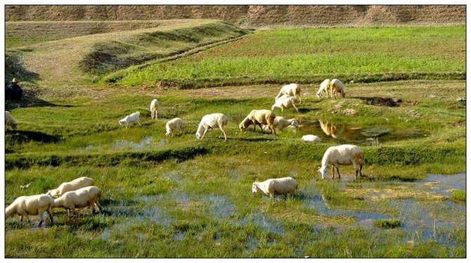 甘肃赏田园风光感受乡村魅力,甘肃渭源风景图片大全