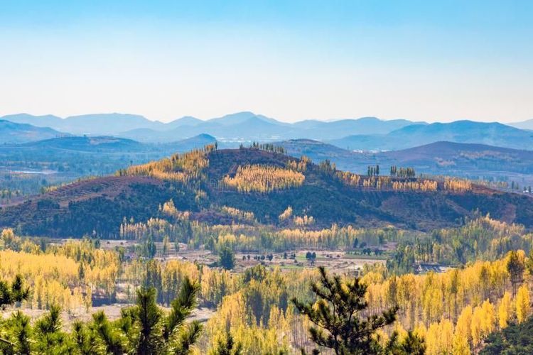 金秋沂南,诗意流淌有那么一群爱美的人,把秋季沂南送到你面前