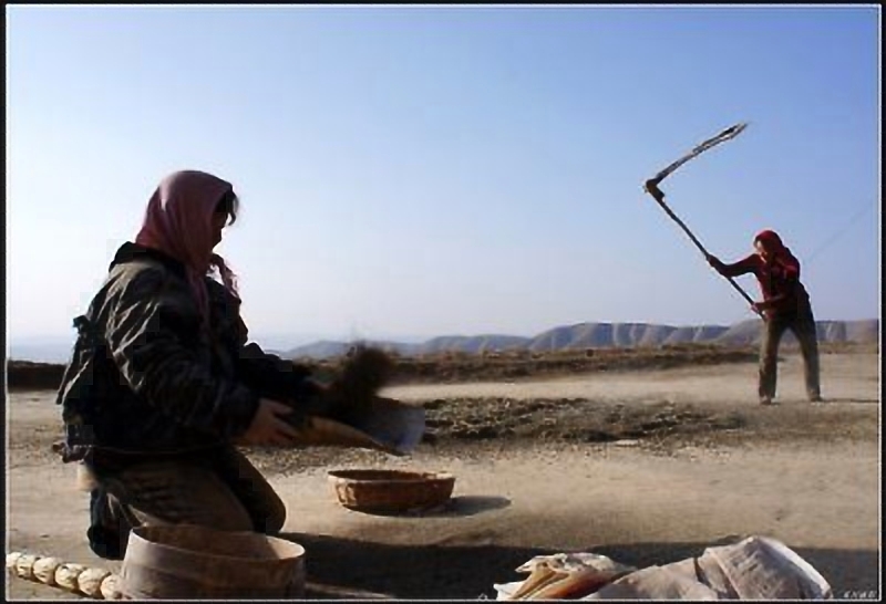 甘肃赏田园风光感受乡村魅力,甘肃渭源风景图片大全