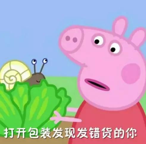 霸占你的小猪表情包,霸占你全部时间的表情包