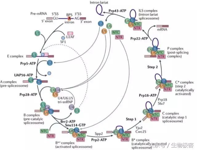 如何评价施一公与冷冻电镜,施一公怎么发现冷冻电镜