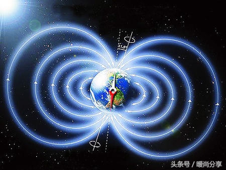 长知识了：手机内的四大“器官”！