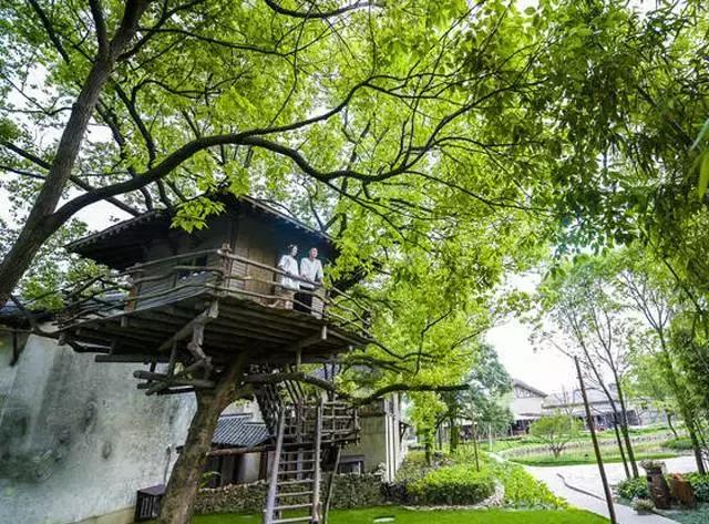 乌村生态园,乌山农家乐和休闲农庄