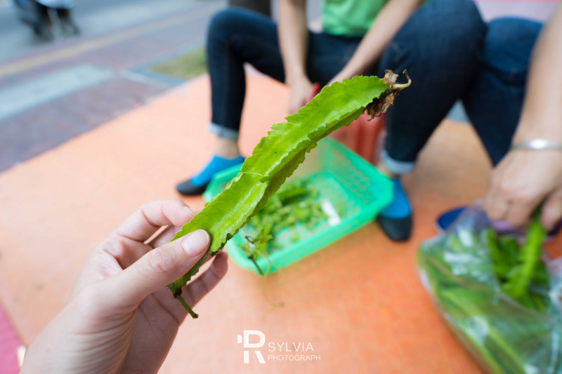 春节去三亚避寒攻略,冬天来三亚避寒