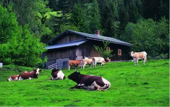 如果你的农庄是凤姐，如何把它打造成范冰冰？（附农庄改造案例）