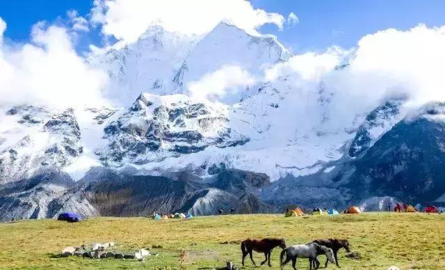 给未来“留种”！他们建的这个库是我见过最酷的