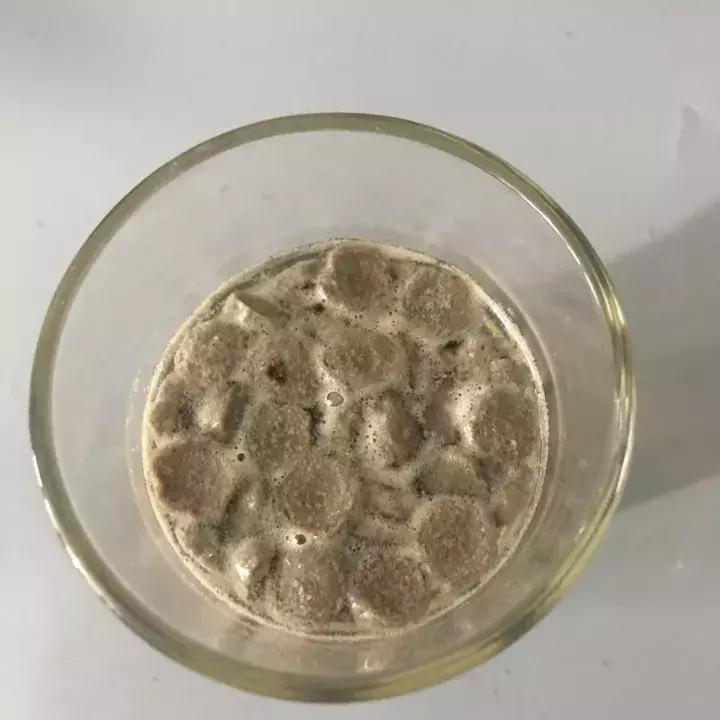 伯纳天纯无谷低敏全阶段成幼猫粮,伯纳天纯经典粮