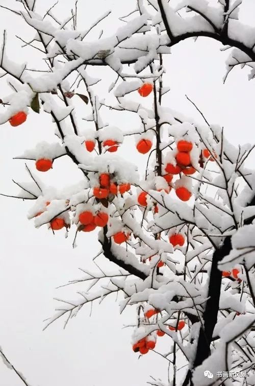 白里透红美颜,白里透红娇颜