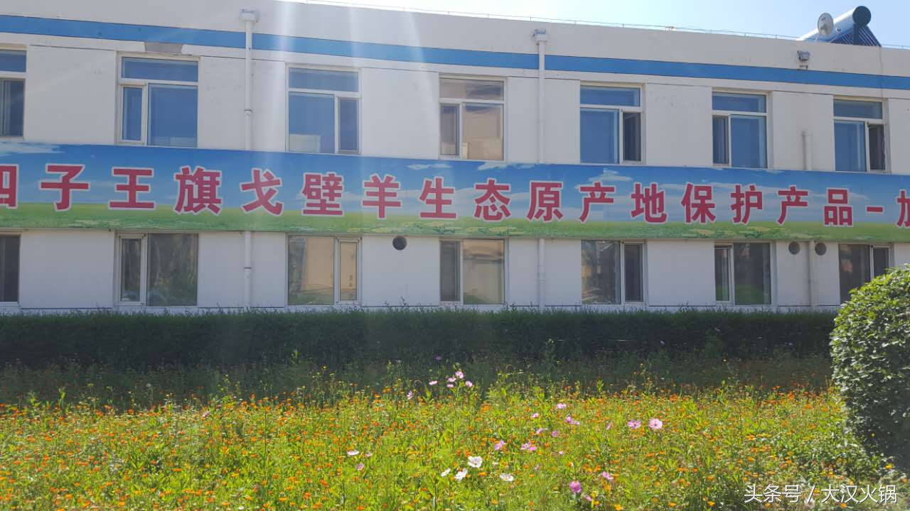 内蒙古大草原正宗羊肉,内蒙古正宗草原羊肉