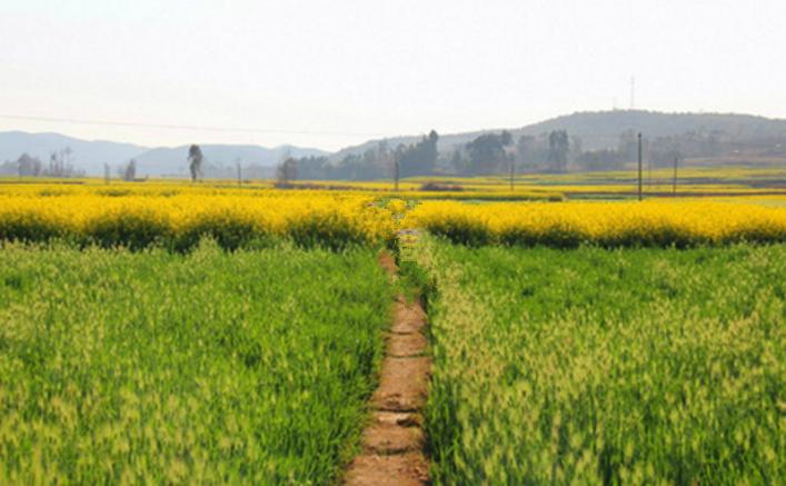 昆明周边一条龙温泉推荐,昆明温泉吃住玩一条龙