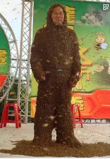 孕妇拥数万蜜蜂拍照被叮3下胎死腹中，老蜂农这样解释