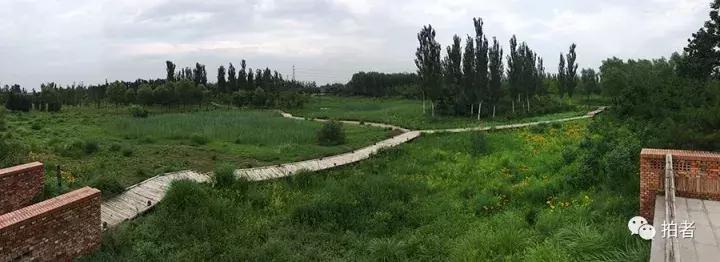 北京唐家岭旧貌,北京唐家岭事件