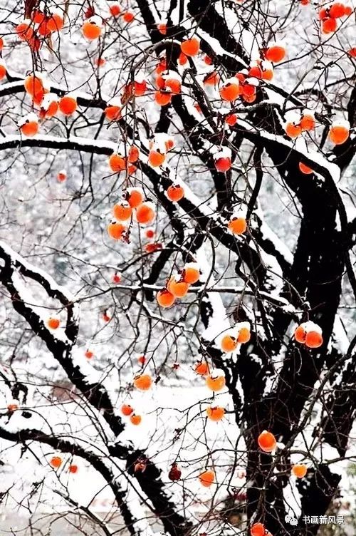 白里透红美颜,白里透红娇颜