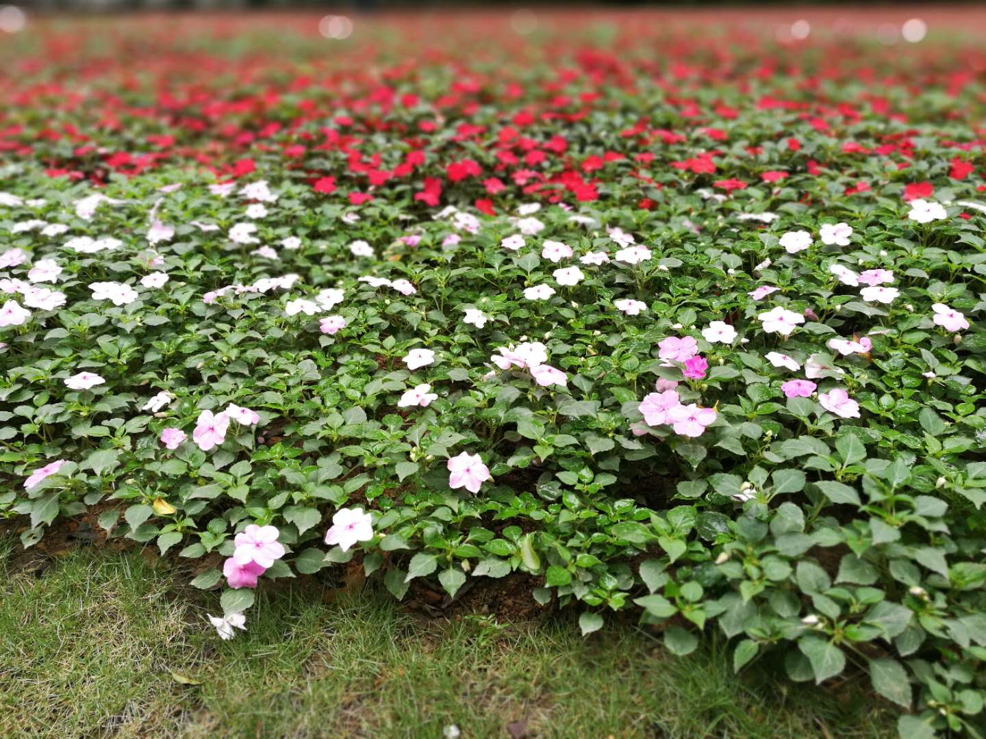 浣犳槸甯嚩鍏ㄦ枃鍏嶈垂闃呰,浣犳槸鍑舵墜甯嚩