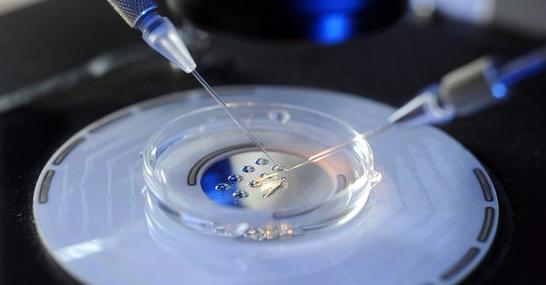 女性一辈子可以捐几次卵子,捐卵子3次