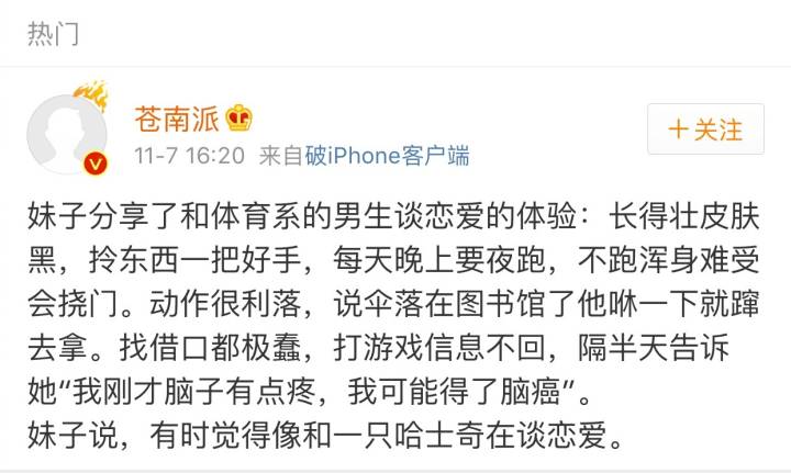 哈哈哈，原谅我拖拉机般的笑声！当喵星人被蜜蜂蜇了之后