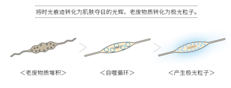 pola是日本四大化妆品牌之一,日本pola全套护肤品价格表
