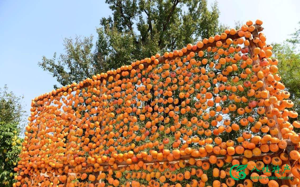 桂林除了山水还有什么特色,桂林都有哪些值得带的特产