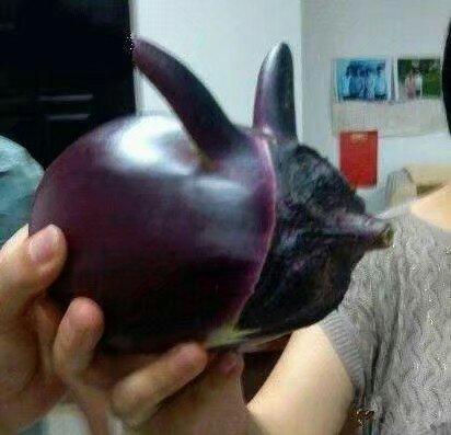 小姐姐你系完鞋带就快起来吧，都被人给看光，你长的好看才提醒你