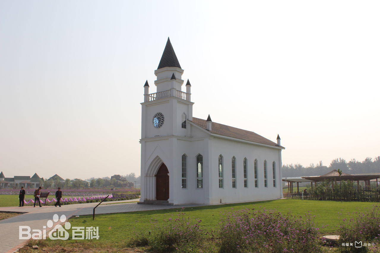 蓝调薰衣草庄园官网,蓝调薰衣草庄园别墅