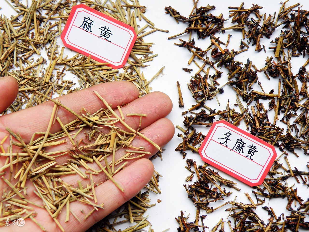 麻黄心脏不好可以用吗,麻黄心脏不舒服能吃吗