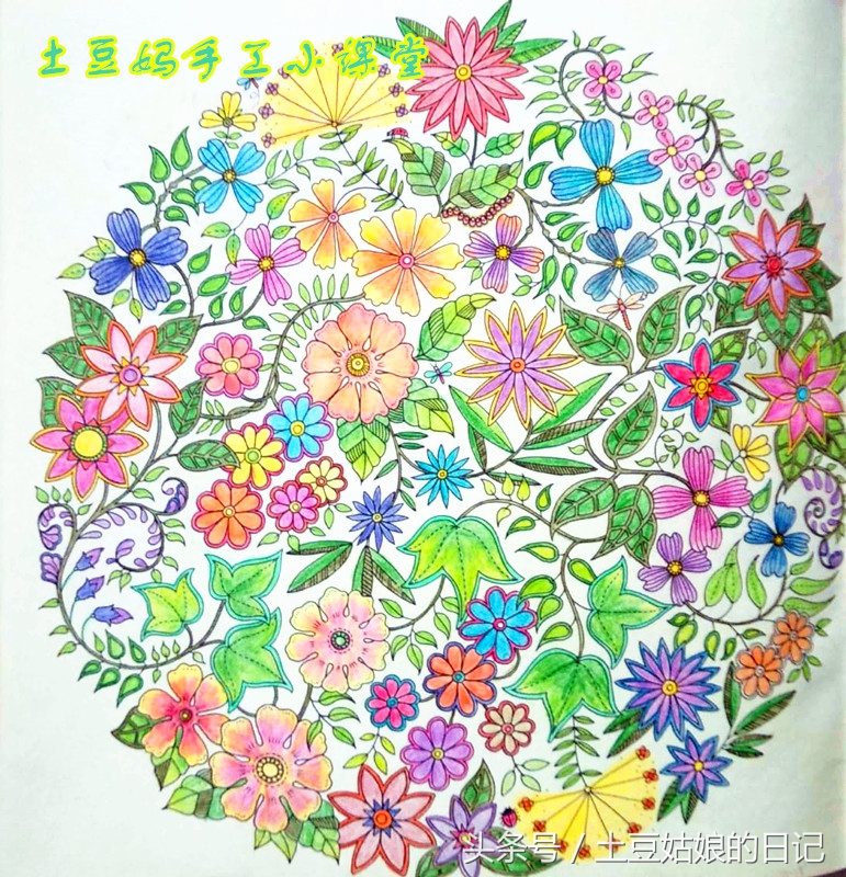 玩秘密花园涂色本,秘密花园涂色本可爱