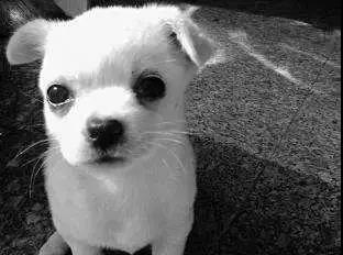 你以为我在逗你玩啊怎么幽默回复,你以为我在逗你玩吗怎么回答