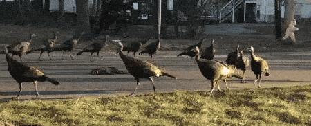 大家都在忙着赚钱,大家都在忙着赚钱吗